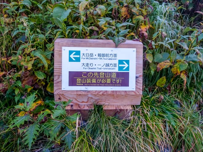 橋を渡ると分岐があるので