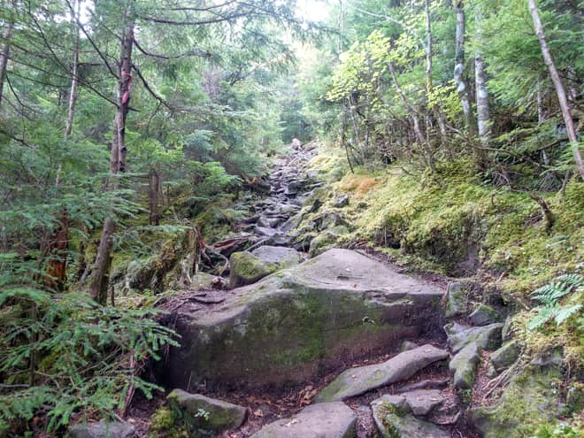 段々と勾配がきつくなるにつれて