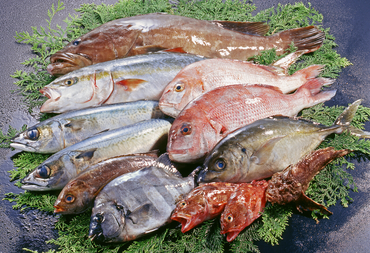 海の幸イメージ