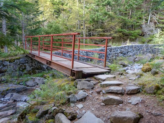 登山道からは段々と岩が無くなり
