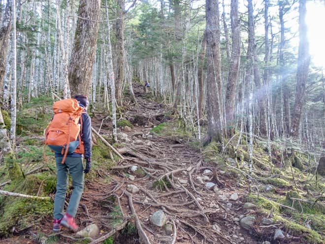 苔むした岩場に加え