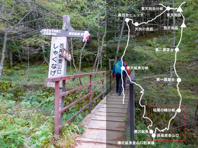 西尾根登山口→枯尾の峰分岐
