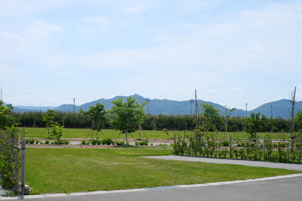 釣師防災緑地公園オートキャンプサイト (2)