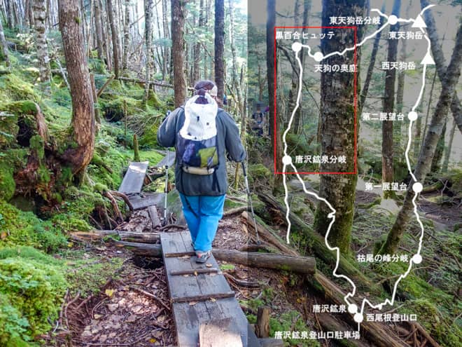 黒百合ヒュッテ→唐沢鉱泉分岐