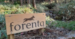 森林レンタルサービスの「forenta」に女性専用エリアがオープン【岐阜県東白川村】