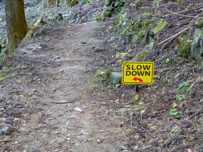 それもその筈で、この道は