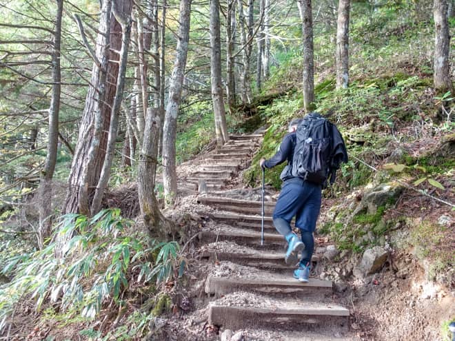 とはいえ、登山ルートである「合戦尾根」は燕山荘