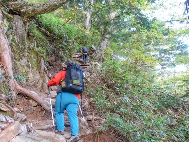 とはいえ、登山道は大変整備されているので