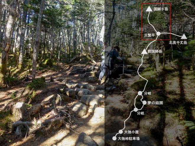 三繋平→国師ヶ岳山頂