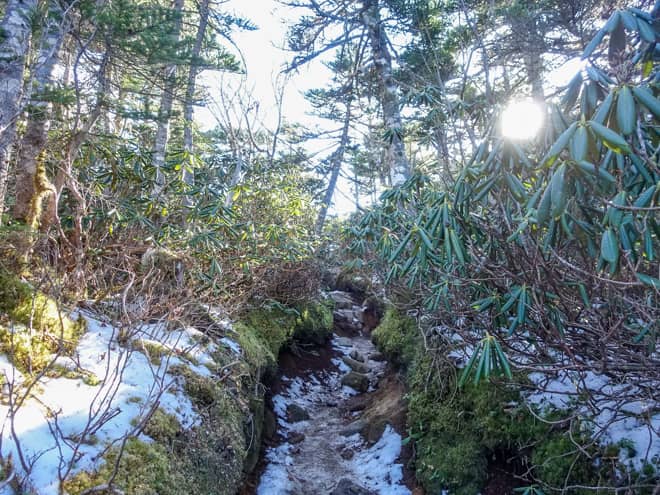 三繋平から北奥千丈岳山頂までは距離にして