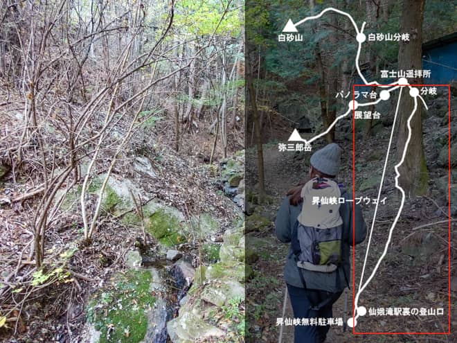 仙娥滝駅裏の登山口→分岐