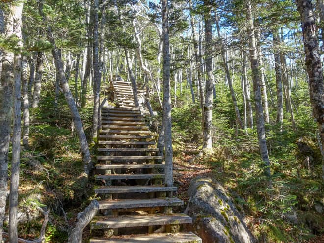 分岐から先は階段地獄です