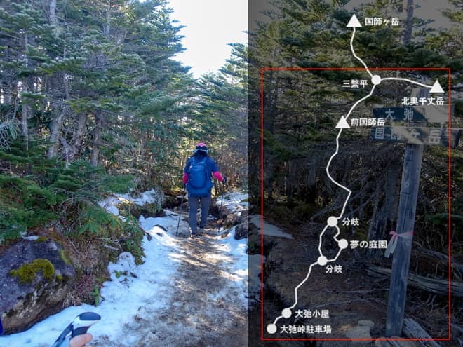 北奥千丈岳山頂→分岐→大弛峠駐車場