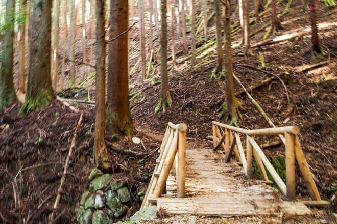 半分くらい歩くと橋が見えてきます