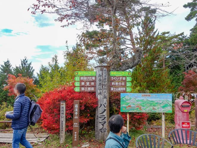 因みに、パノラマ台には羅漢寺山の山頂標識があります
