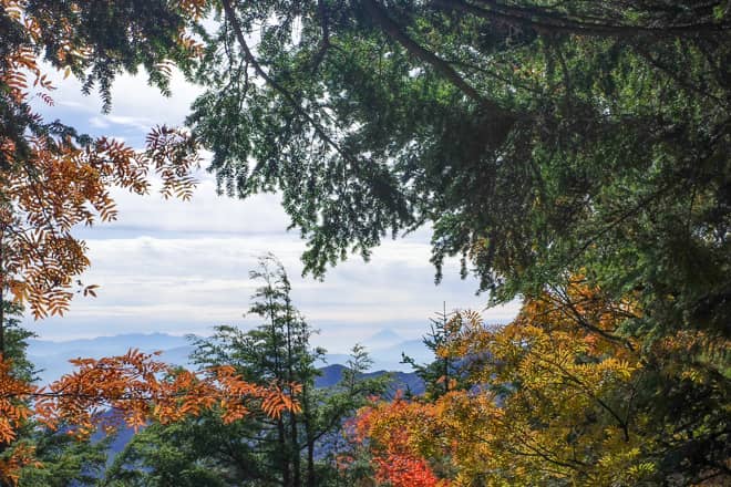 因みに富士見ベンチからも富士山は見えますが