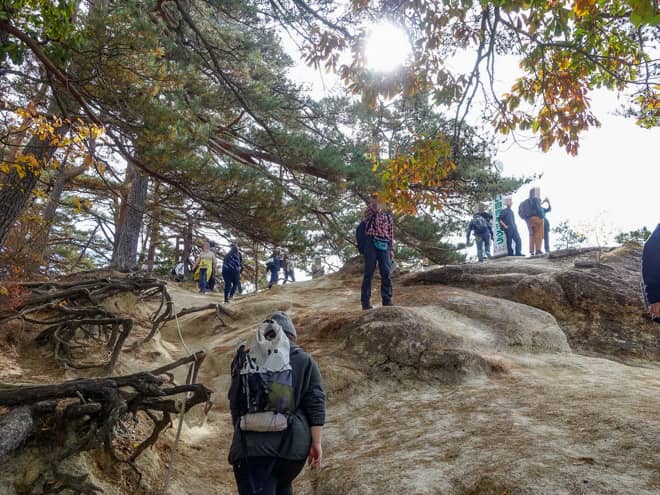 多少の登りはありますが、スニーカーでも余裕で歩くことが出来ま