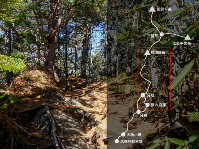 夢の庭園→前国師岳