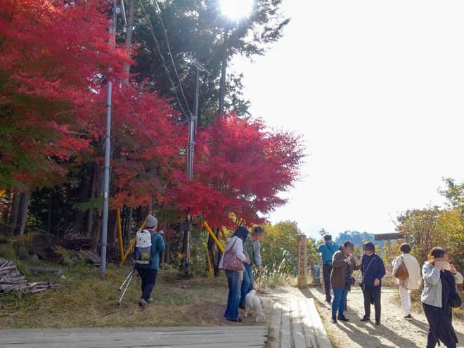 富士山遥拝所は名前の通り
