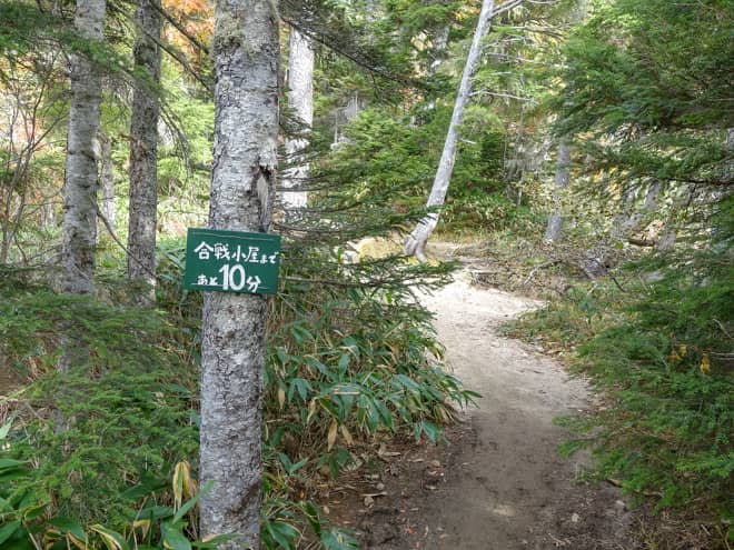 少しだけ勾配が落ち着き、歩きやすくなると