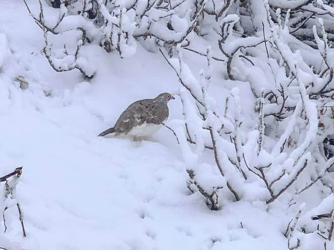 山頂以外も見どころだらけで