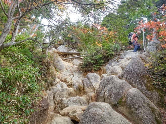 岩がむき出しになっている個所も複数あるので