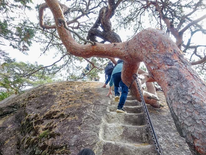 弥三郎岳山頂は巨大な1枚岩の先にあります