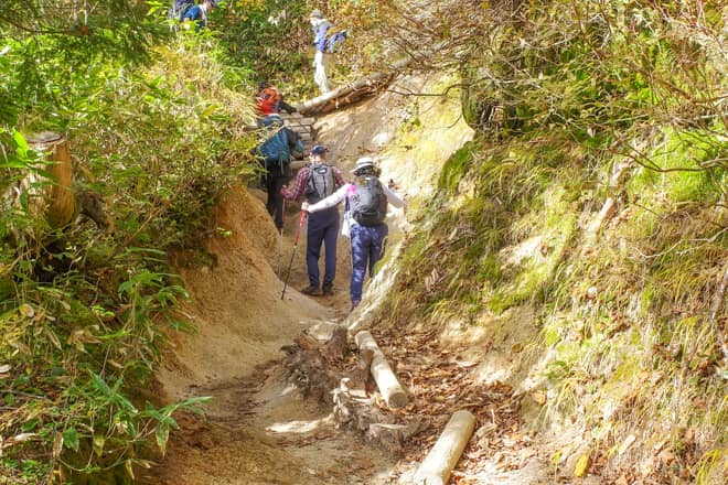 標高を稼ぐにつれ、登山道の様子が段々と変わってきます