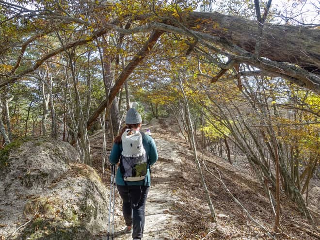 歩き進めていくにつれて