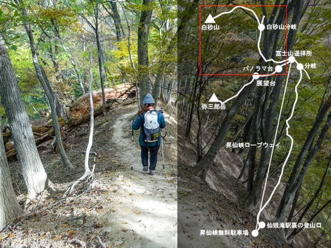 白砂山→パノラマ台