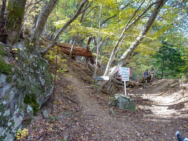 白砂山分岐に到着です