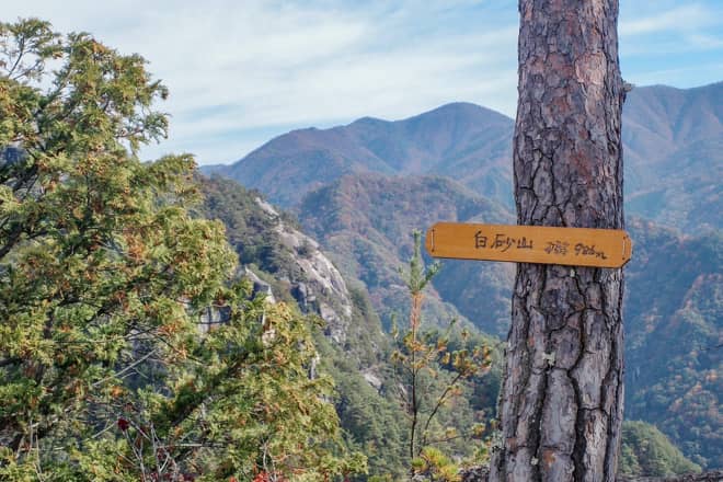 白砂山山頂に到着です