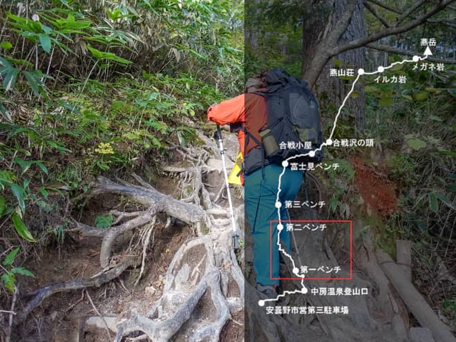 第一ベンチ→第二ベンチ