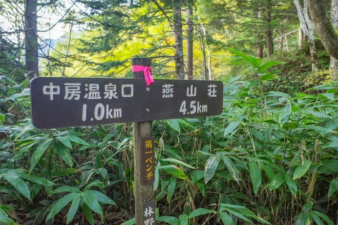 第一ベンチに到着しました