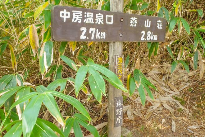 第三ベンチに到着です