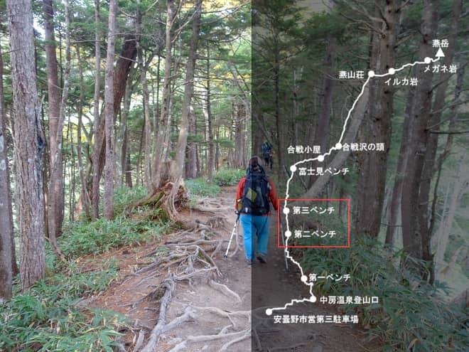 第二ベンチ→第三ベンチ