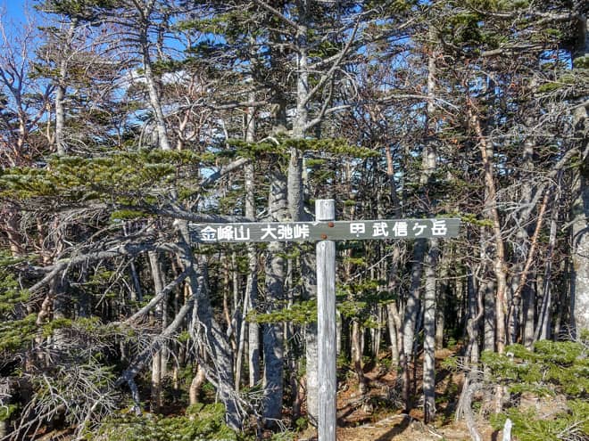 背後を見渡すと木々に覆われて景色は望めません