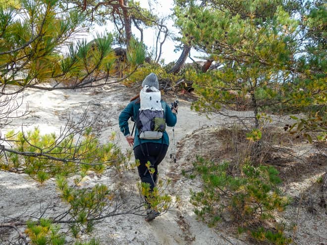 見晴らしの良いこの場所が山頂かと思っていましたが