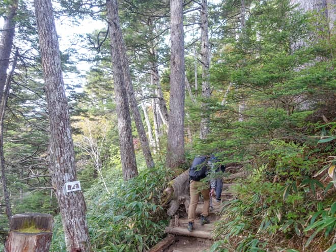 途中で「登山道」の標識が見えてきたら