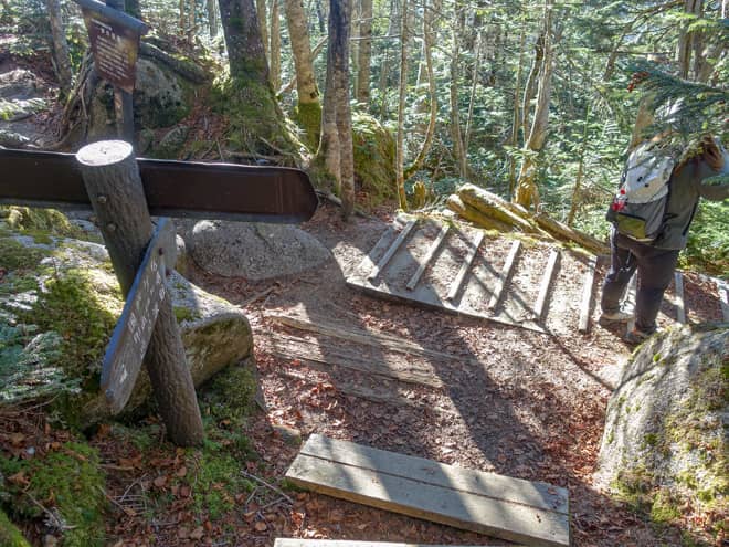途中の分岐では「夢の庭園」方向へ進まず
