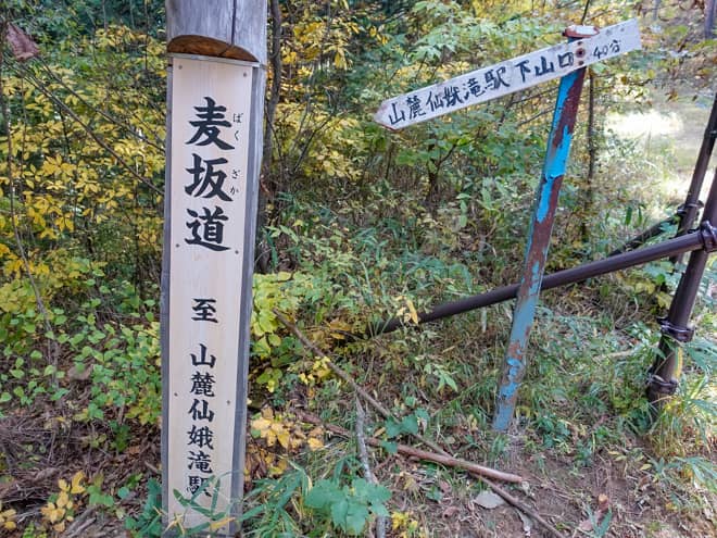 長かったつづら折りの急登を終えると