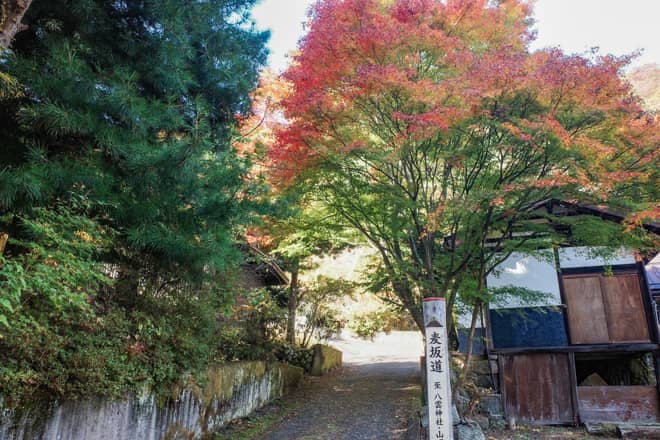 麦坂道（ばくざかどう）の標識が見えたら正解です