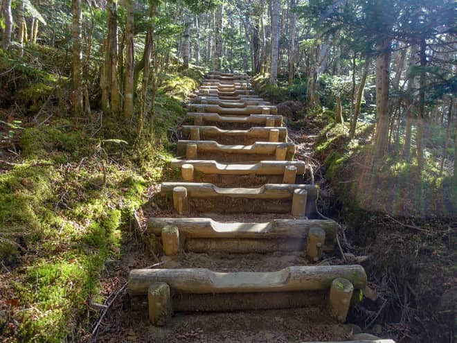 登山道は大変整備されていて、山行の23は木道と階段です
