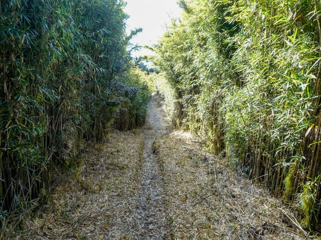 この先は標識がある場所まで緩やかに下りが続きます