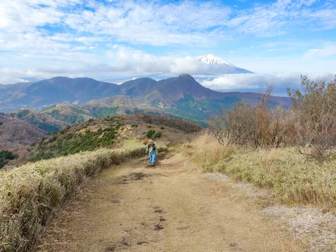 これぞ稜線!といった道のりで