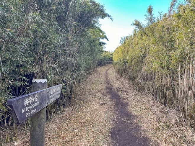 しかし、明神ヶ岳はアップダウンの激しい登山道です (3)