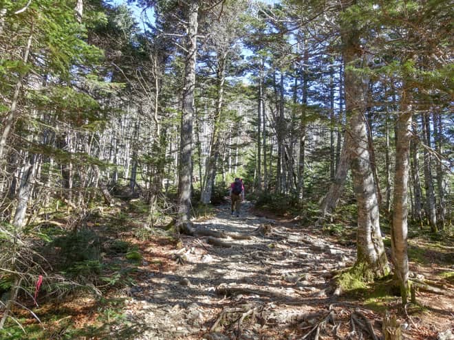 しかし、鉄山分岐からは修行タイムです