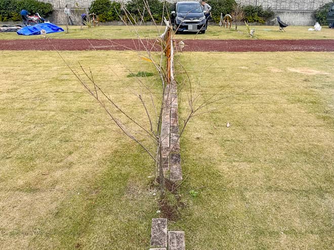 プライベート感マリンベース西伊豆