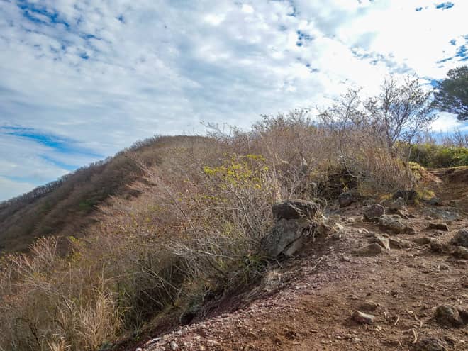 因みに展望スポットという場所は無く