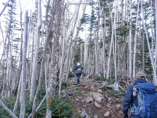 急こう配の直登が終わると